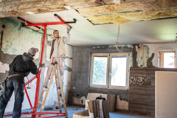 Best Commercial Insulation in Siloam Springs, AR